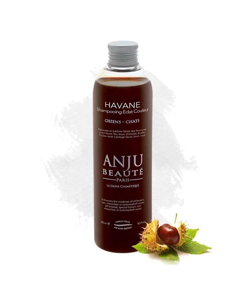 Anju Beautè Shampoo per Manti Marroni Havane
