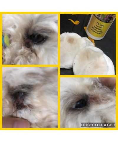 BalùDefend Pulizia Occhi e cute Lenitivo, Detergente
