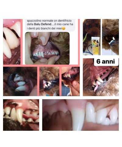 BalùDefend Dentifend