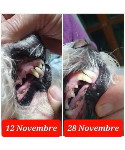 BalùDefend Dentifend