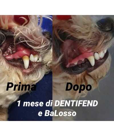 BalùDefend Dentifend