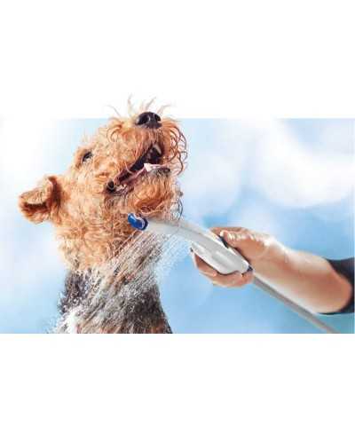 Generatore  Acqua Ozonizzata Pet Ozone E Bluecotech