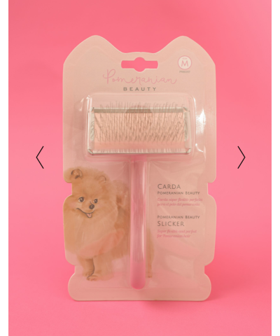 Cardatore Pomeranian Beauty