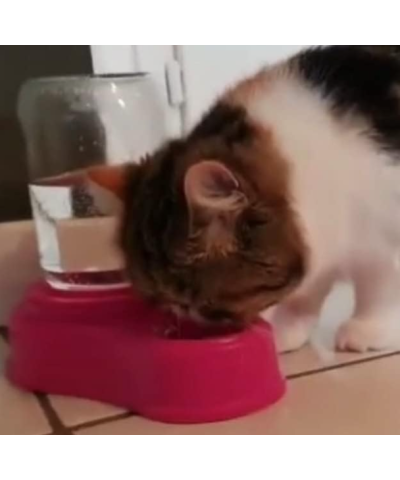 Beverino Muso Asciutto