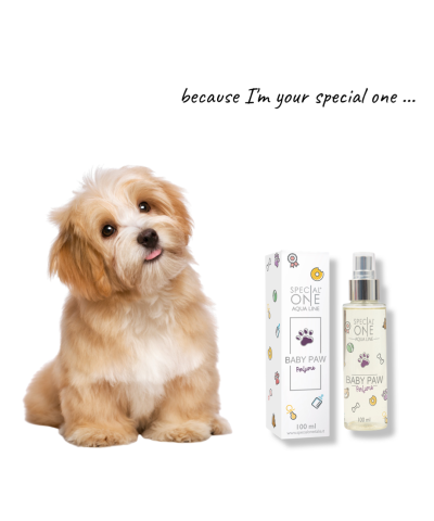 Fragranza Baby Paw Perfume Special One