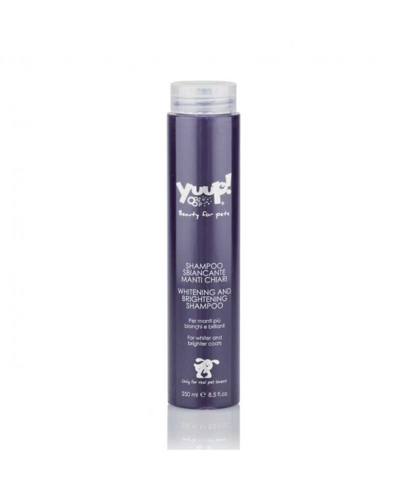 Shampoo Sbiancante per Manti Chiari Yuup
