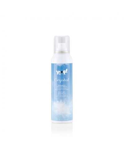 Shampoo a Secco Spray Yuup