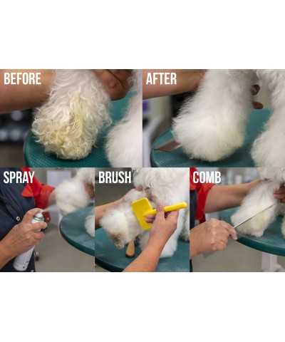 Show Tech Quick Clean Dry Shampoo