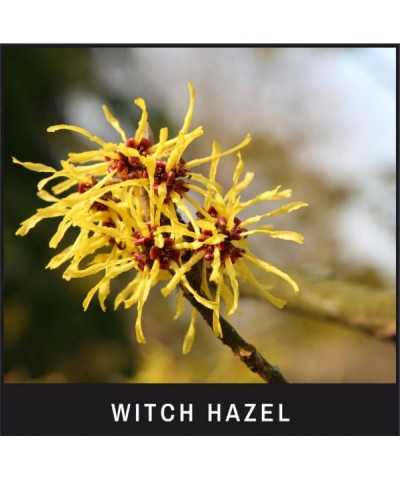 Smacchiatore Pelo Off The Beard Eye Envy