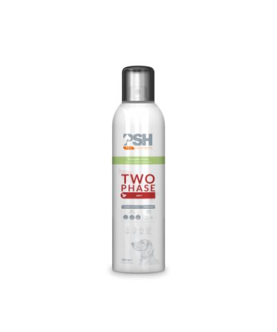 PSH Condizionatore Two Phase Istantaneo Bifasico