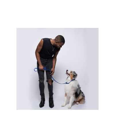 Jelly Pet Guinzaglio da Grooming