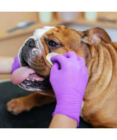 Dischetti Imbevuti con Lozione DOG - Rimuovi Macchie Eye Envy Bulldog