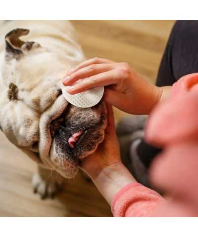 Dischetti Imbevuti con Lozione DOG - Rimuovi Macchie Eye Envy Bulldog