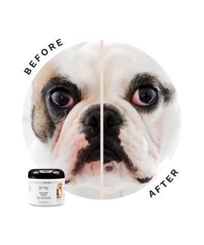 Dischetti Imbevuti con Lozione DOG - Rimuovi Macchie Eye Envy Bulldog