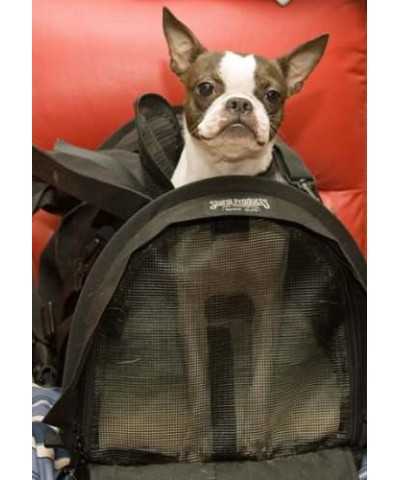 SturdiBag™ Trasportino Divided