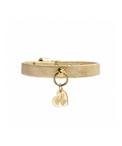 PLAIN COLLAR ORO POLAR SUEDE/GOLD Piccoli Pets