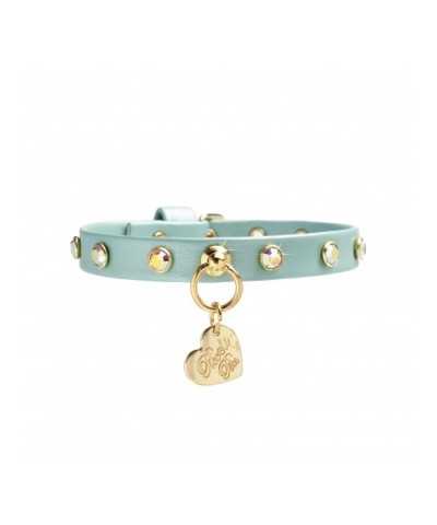 CHATON RIVETS COLLAR MARINA DORE/GOLD Piccoli Pets