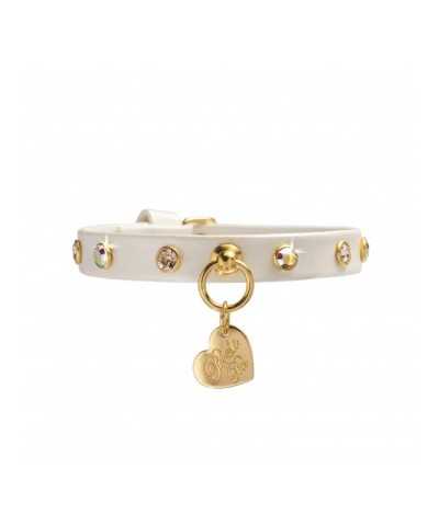 CHATON RIVETS COLLAR WHITE DORE/GOLD Piccoli Pets