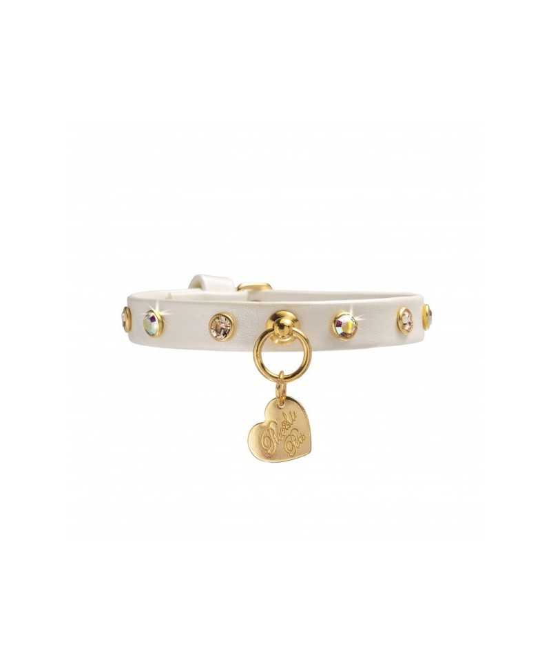 CHATON RIVETS COLLAR WHITE DORE/GOLD Piccoli Pets