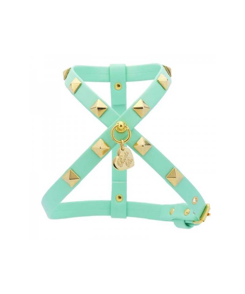 Piccoli Pets STUDS HARNESS ACQUA ECOLEATHER/GOLD
