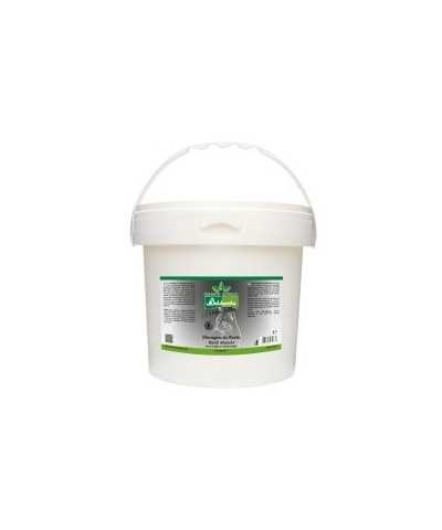 Shampoo In Pasta Manti Bianchi Gatto Baldecchi