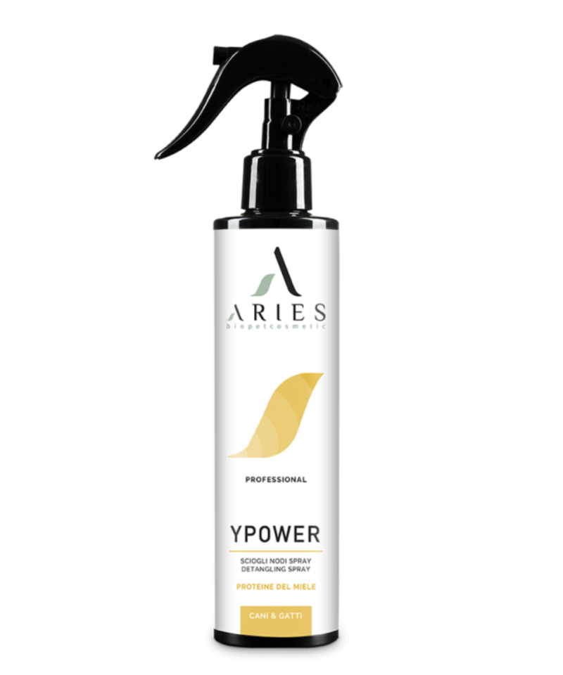Ypower Scioglinodi Spray Aries