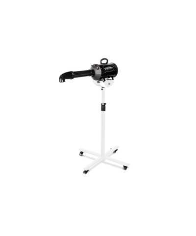 Phon-soffiatore Stormy Record