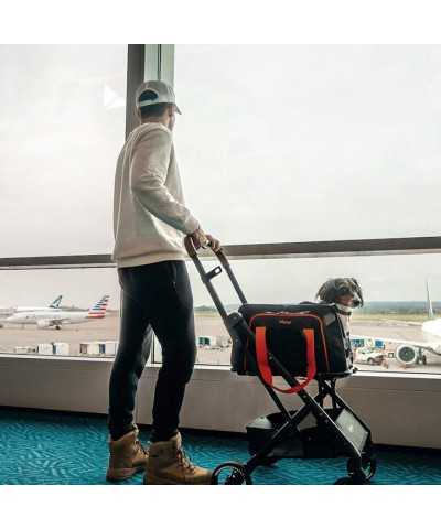 JetPaw passeggino 3 in 1 Ibiyaya