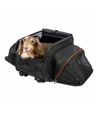 JetPaw passeggino 3 in 1 Ibiyaya