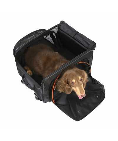 JetPaw passeggino 3 in 1 Ibiyaya