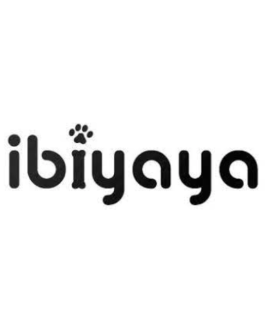 JetPaw passeggino 3 in 1 Ibiyaya