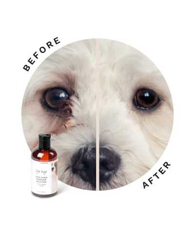 Smacchiatore Occhi Soluzione DOG Eye Envy