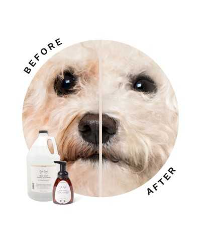 Smacchiatore a Schiuma Eye Envy