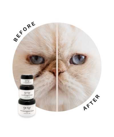 Polvere Sbiancante per Cani e Gatti Eye Envy