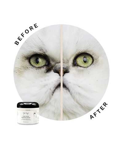 Dischetti Imbevuti con Lozione DOG - Rimuovi Macchie Eye Envy