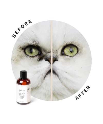 Smacchiatore Occhi Soluzione CAT Eye Envy