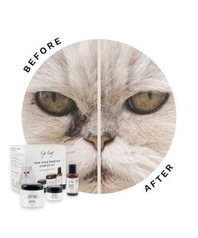 Smacchiatore Occhi CAT Starter Kit Eye Envy