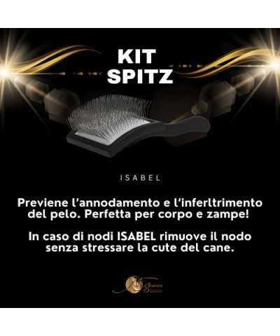 Genesis Kit Spitz