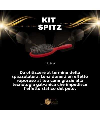 Genesis Kit Spitz