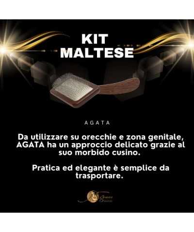 Genesis Kit Maltese