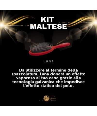 Genesis Kit Maltese