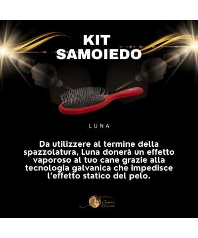 Genesis Kit Samoiedo