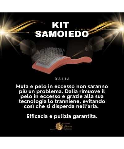 Genesis Kit Samoiedo