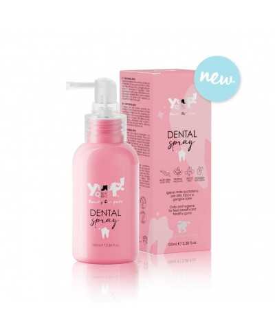 DENTAL SPRAY yuup 100ML