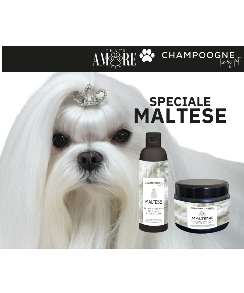 CHAMPOOGNE Kit Speciale Maltese