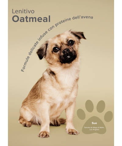 Soothing Oatmeal Shampoo Paul Mitchell Pet