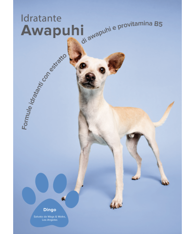 Awapuhi Shine Spray Paul Mitchell Pet
