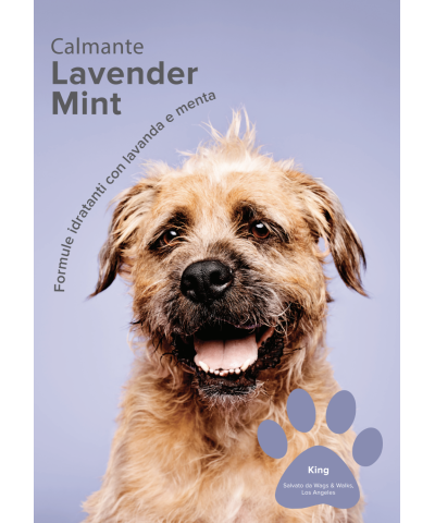 Calming Lavender Mint Shampoo  Paul Mitchell Pet
