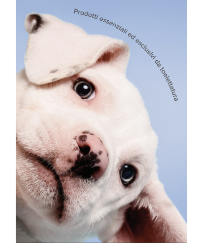 Tear-Free Shampoo Paul Mitchell Pet