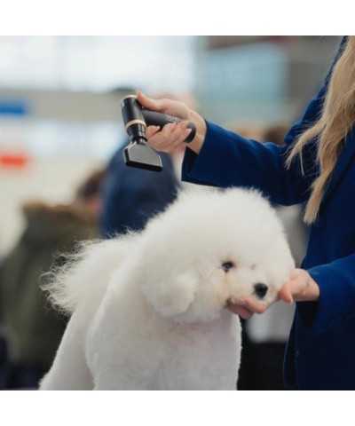 Tauro Pro Line pet coat mini dryer